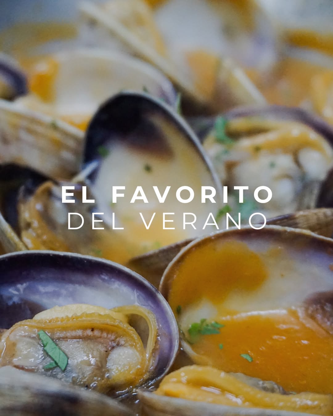 El verano se acaba, pero lo bueno se queda.

Habéis dejado claro cuál ha sido vuestro plato estrella estos meses: nuestr