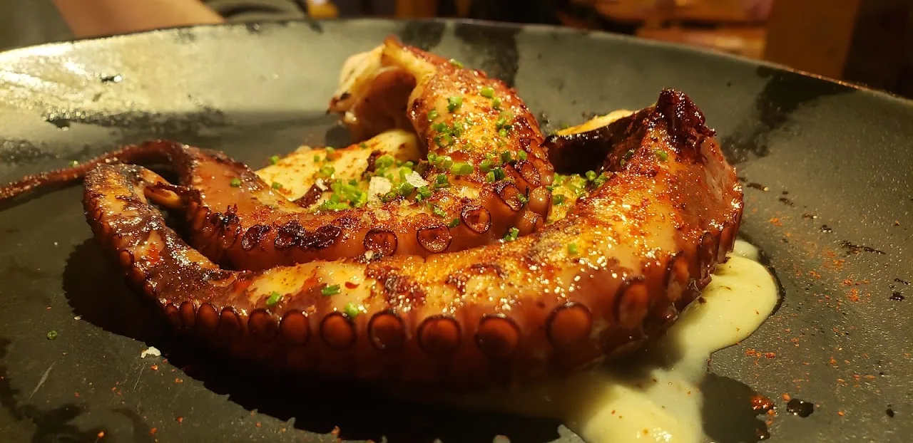 Grilled octopus tentacles with a light sauce