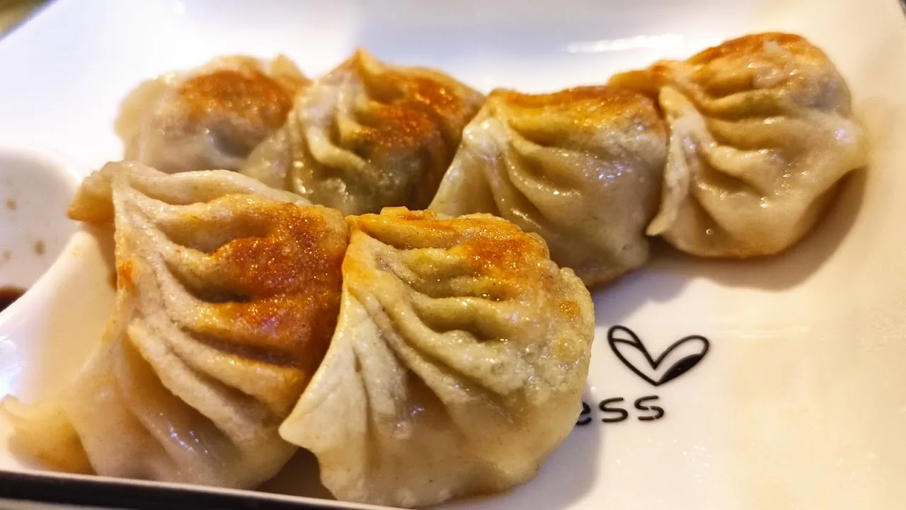 A plate of pleated steamed dumplings with a crispy fried bottom