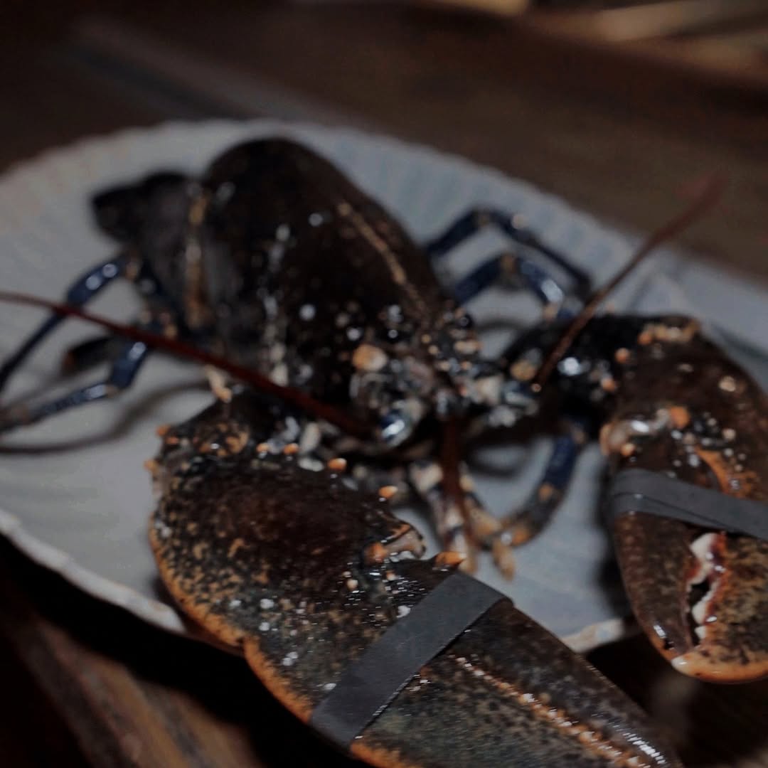 Cuando el producto del mar es protagonista, cada momento merece disfrutarse con calma. 🌊
SaBrisa es cocina, detalle y un