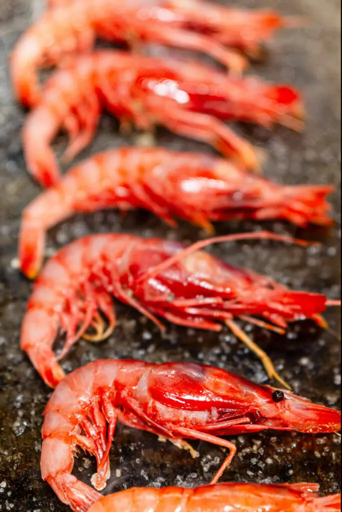 Row of whole raw red carabinero prawns lined up on a dark salt-flecked stone surface