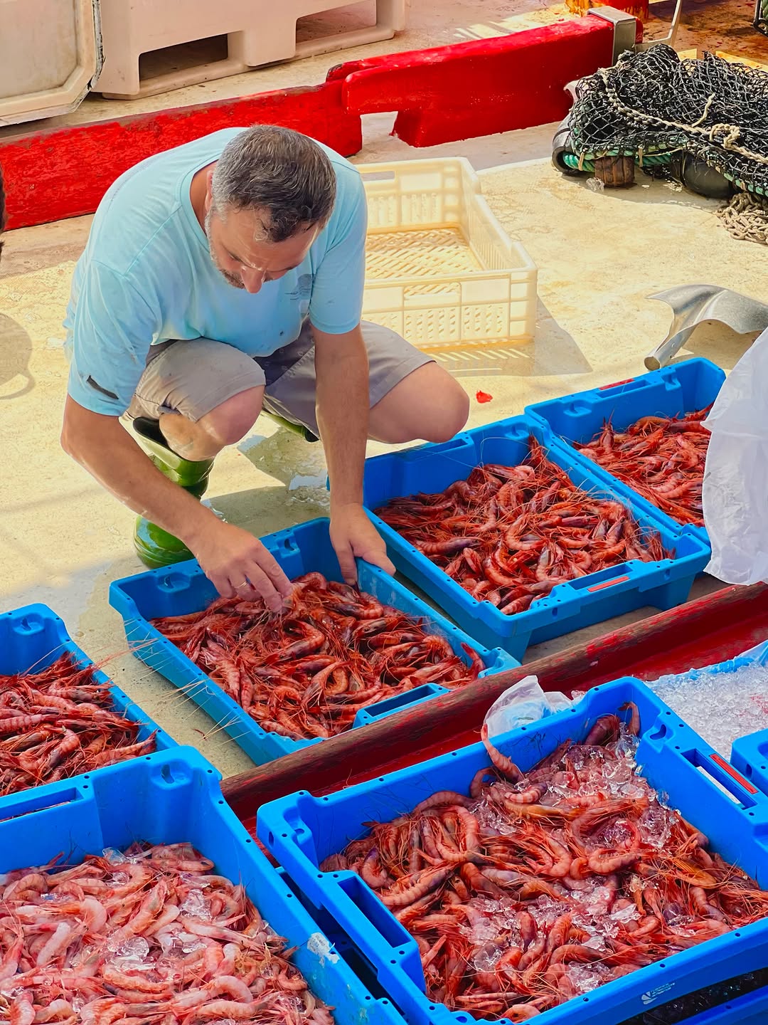 Haciendo selección de nuestro producto ❤️
