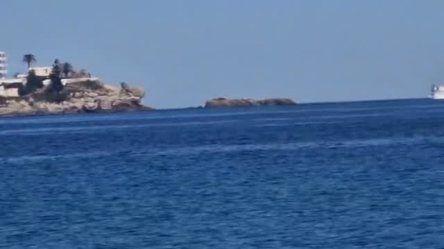 El sonido de las gaviotas, el motor de barco y la madera crujiendo. Así empieza el día para los pescadores en el puerto 