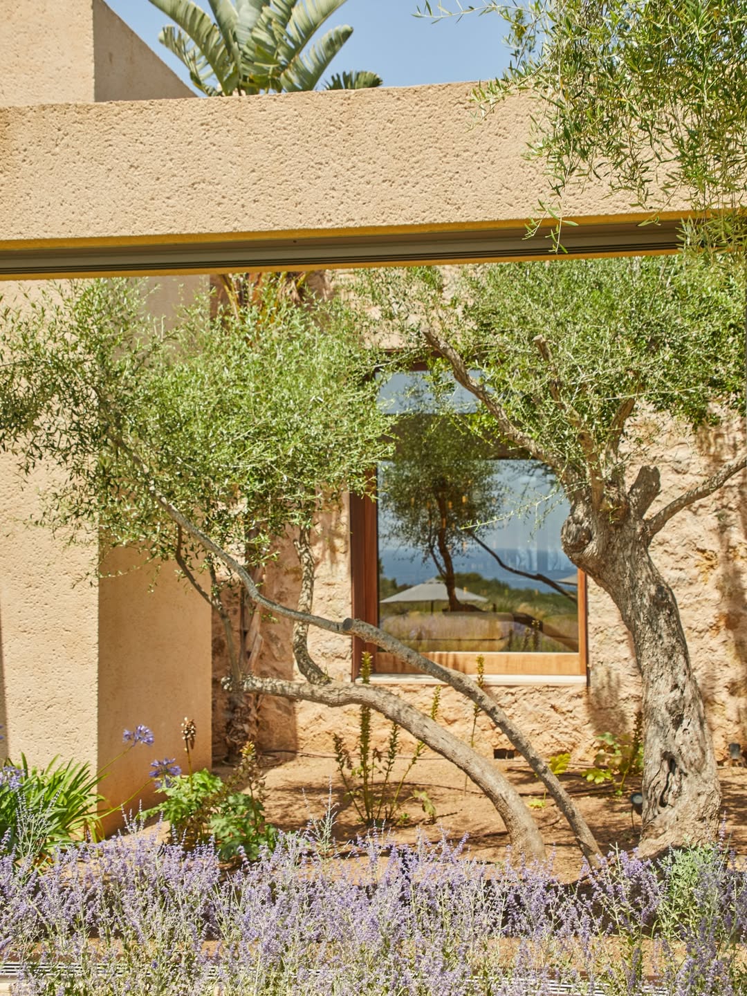 At Sa Pleta, the landscape shapes the experience.
The architecture steps back, the garden enters the dining room and eac