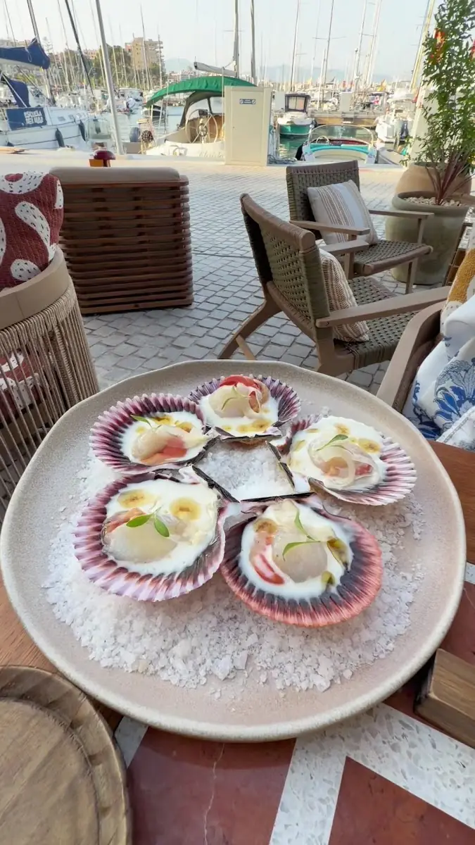 Scallops at Saltao