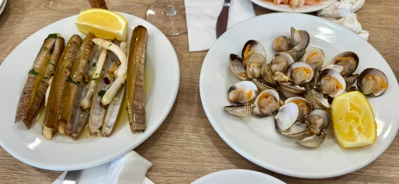 Grilled razor clams and steamed clams on two plates with lemon