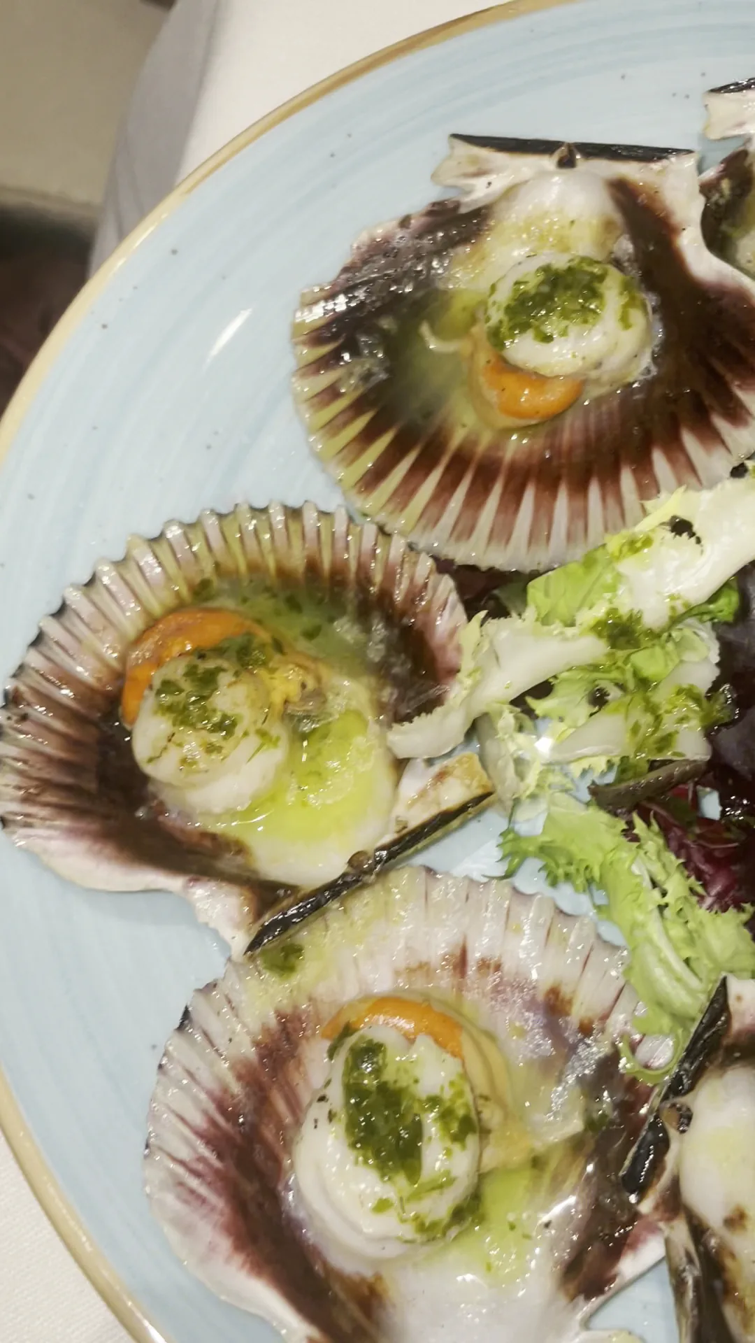 Grilled scallops served in their shells