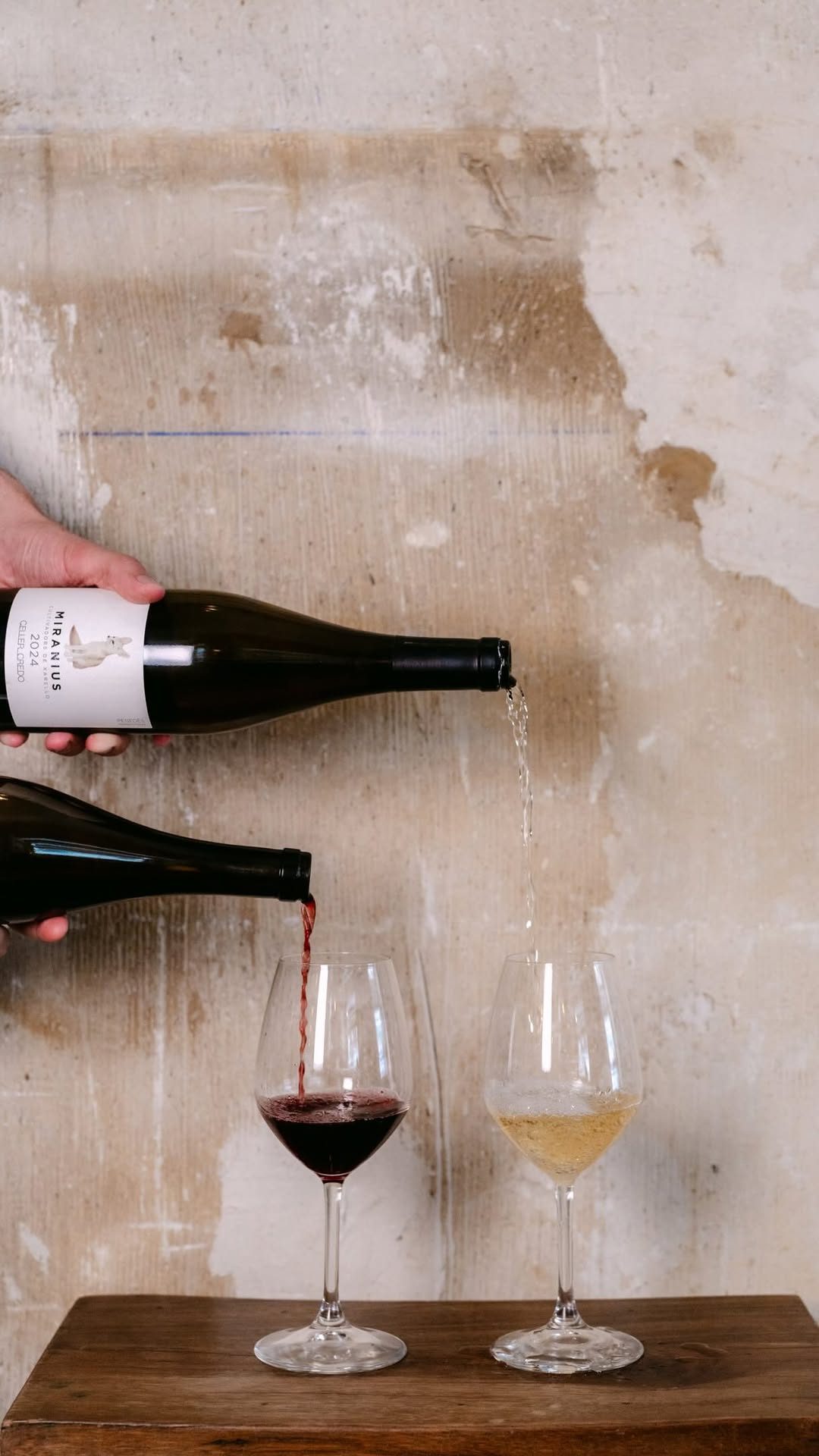Tardes en SAU 🌊

#naturalwine #madrid #taberna #sau #cocina