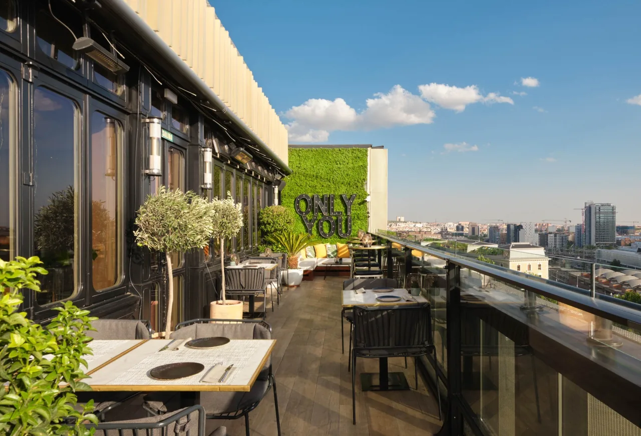 A rooftop terrace with tables, olive trees and a view over the city on a sunny day