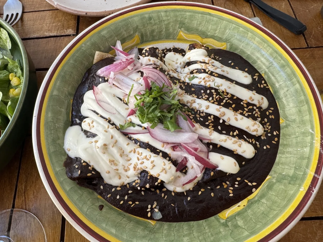 A round green plate of dark sauce topped with cream, sliced red onion and herbs