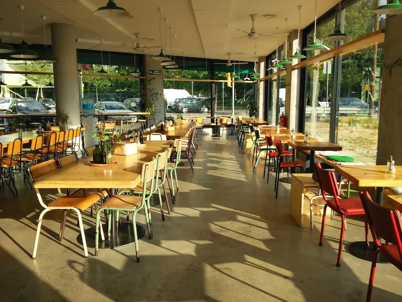 Sunlit dining room at Sopa with long wooden tables