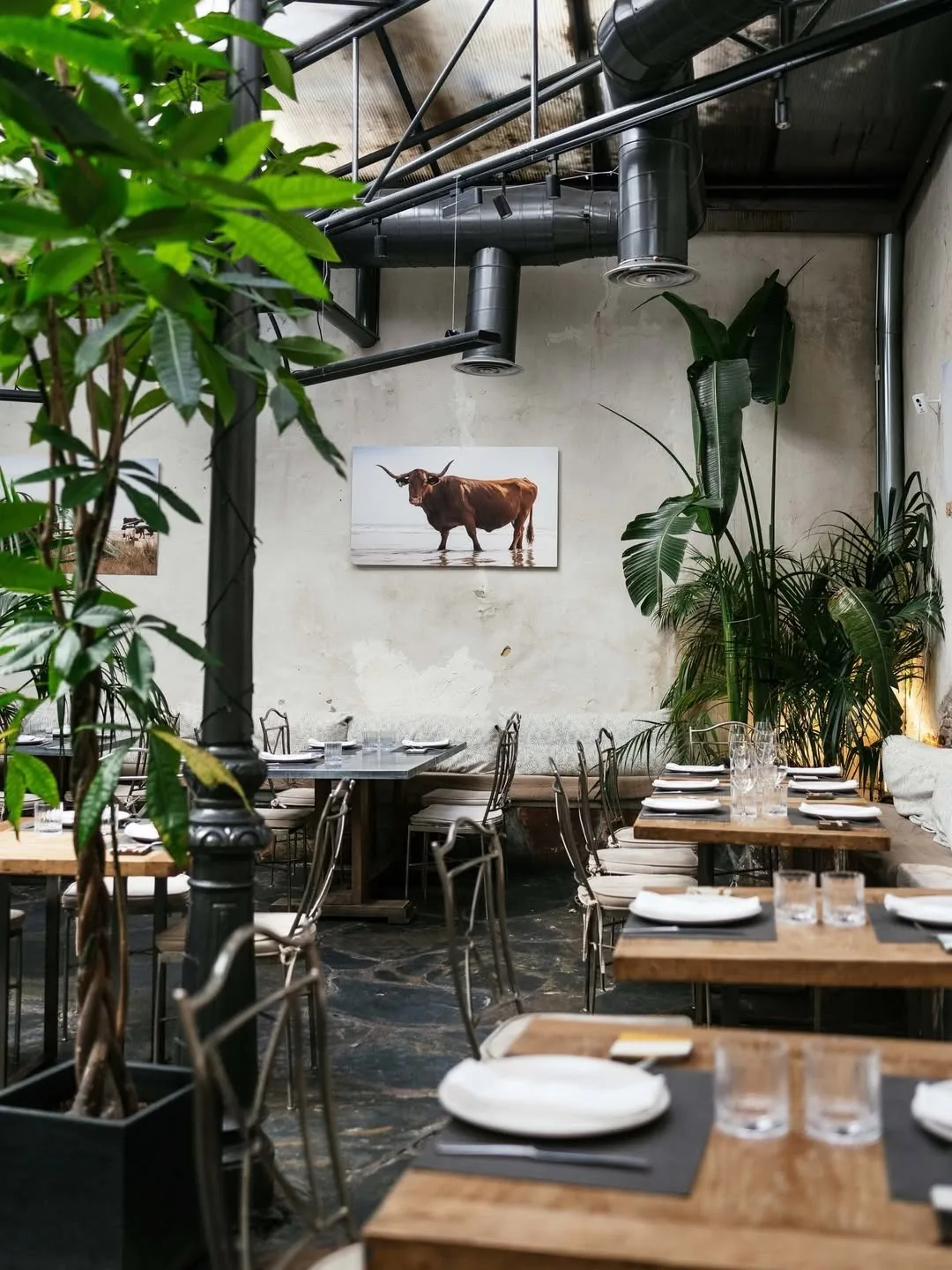 A restaurant courtyard with wooden tables, large plants and a bull painting on the wall
