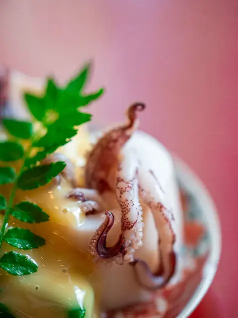 Close-up of baby squid or octopus with sansho leaf garnish over a pale sauce on a ceramic dish against a pink wall