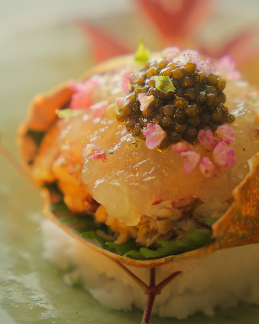 Nécora con gelatina de yuzu, caviar y flor de shiso.
Ven a visitarnos Abrimos de martes a sábado de 13:00-14:30 y de 20