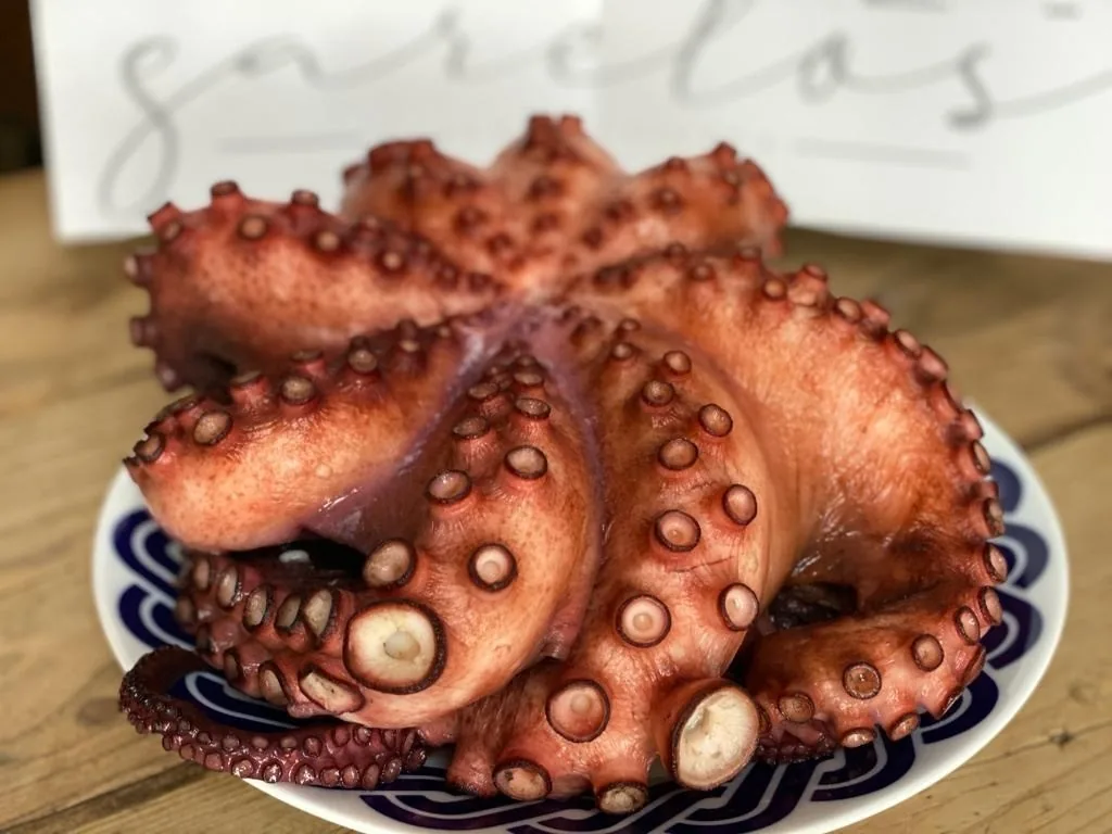 A whole cooked octopus arranged on a blue and white plate