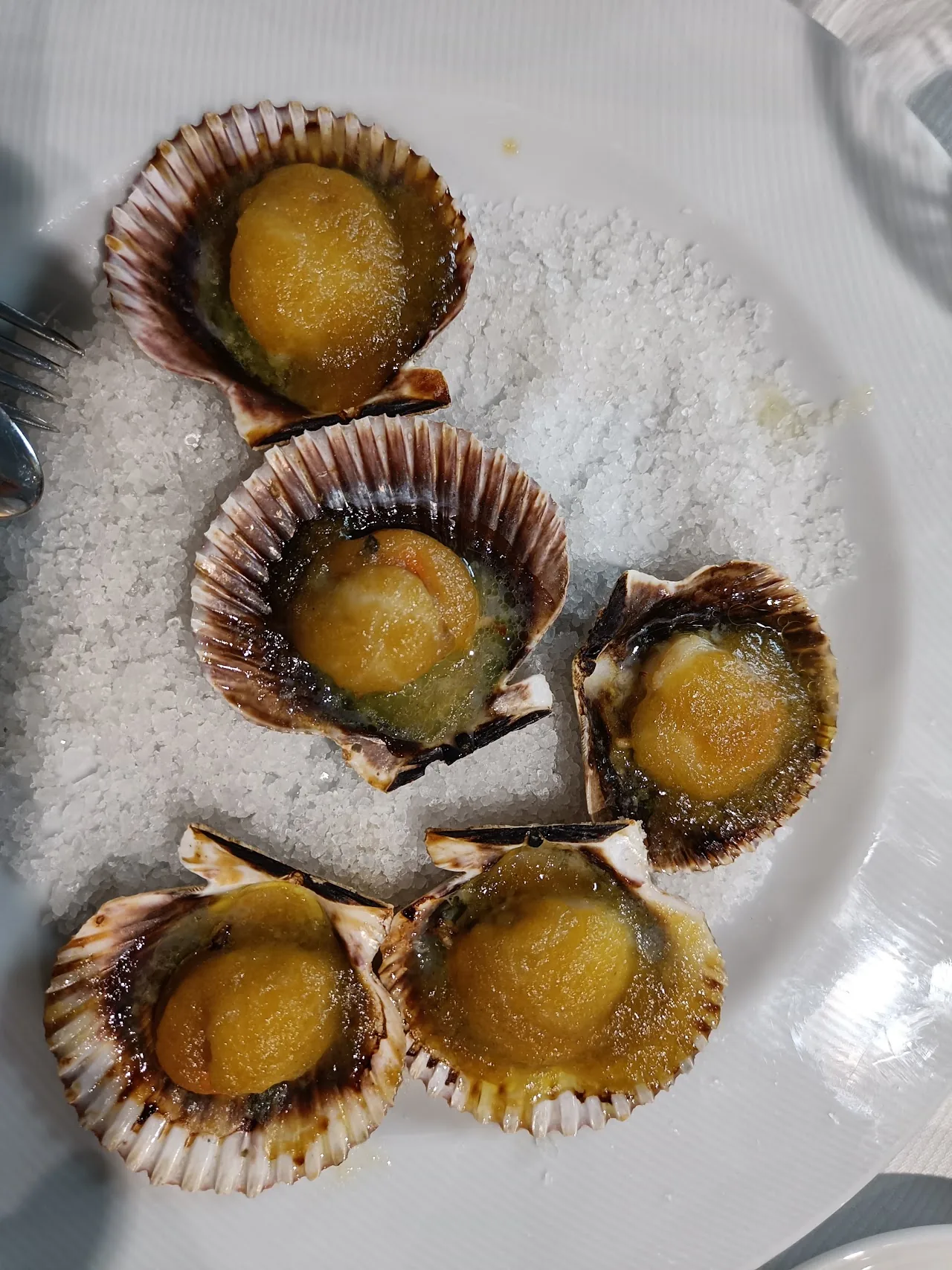 Grilled scallops on the shell served over rock salt