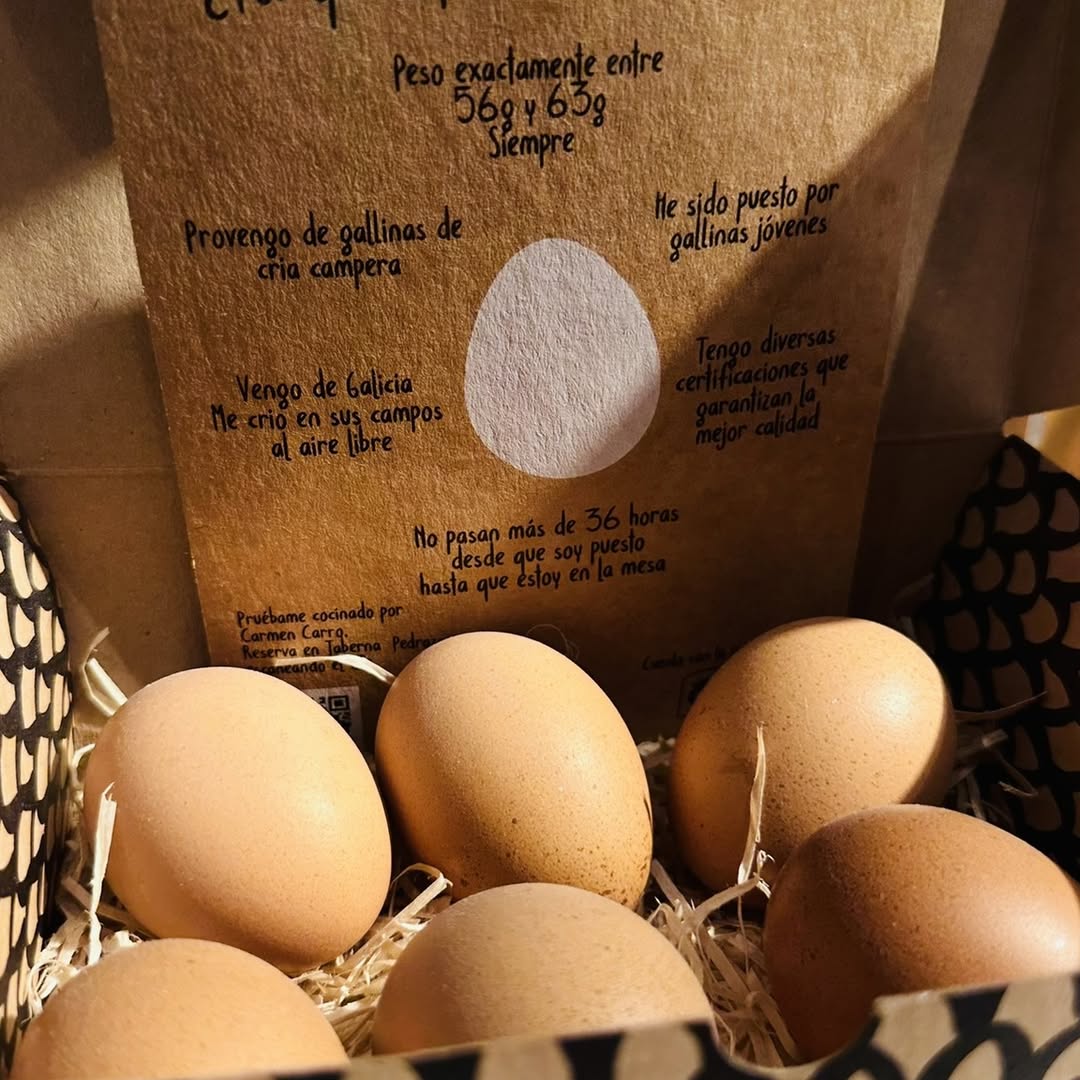 El secreto no solo está en la receta, empieza mucho antes. 🥚

En Taberna Pedraza elegimos huevos de gallinas camperas, f