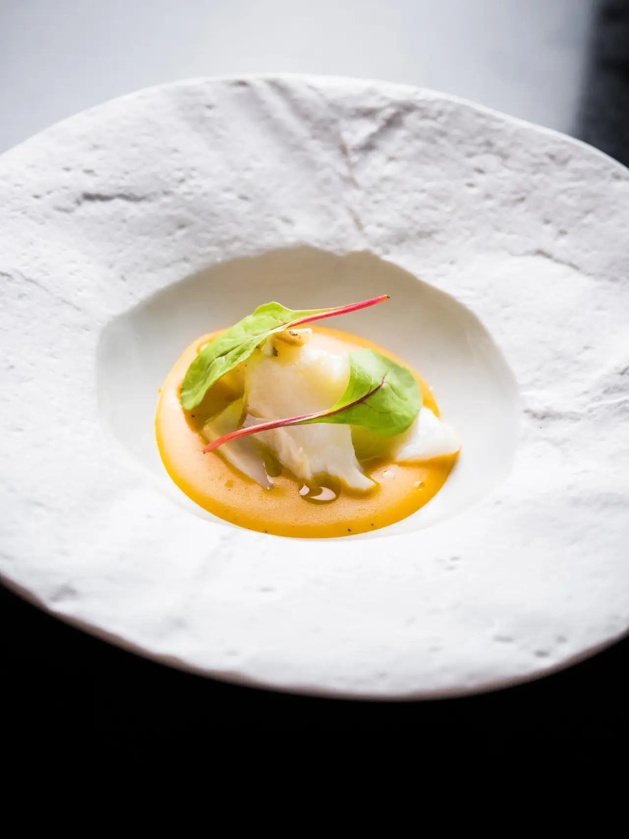 White fish in a saffron-yellow sauce with herb leaves, in a wide textured white bowl
