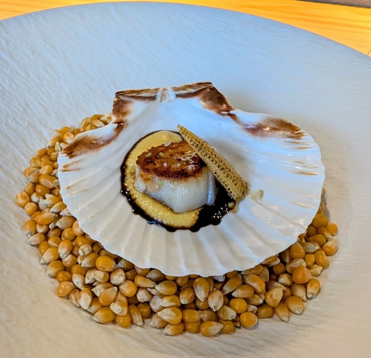A seared scallop in its shell on a bed of popcorn kernels on a white plate