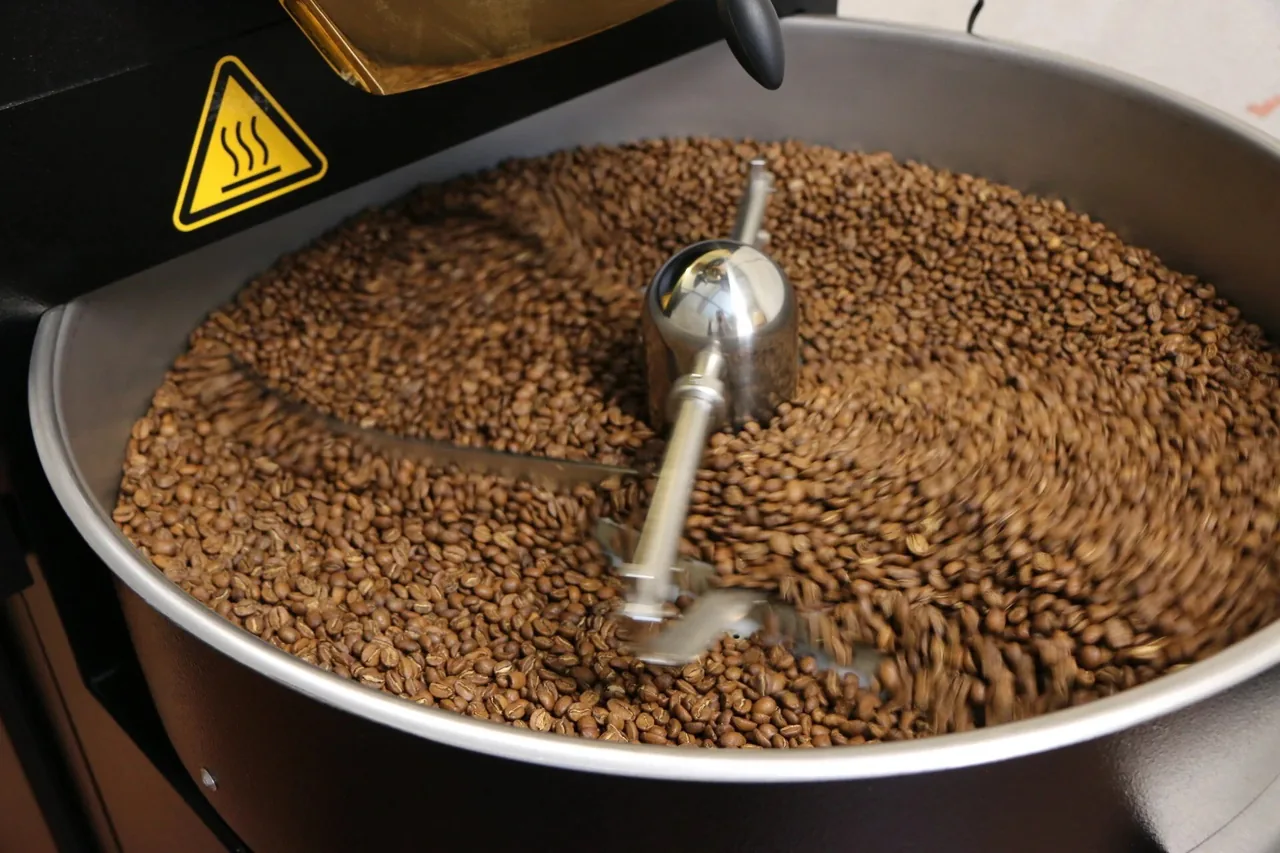Roasted coffee beans in the cooling tray of a roasting machine