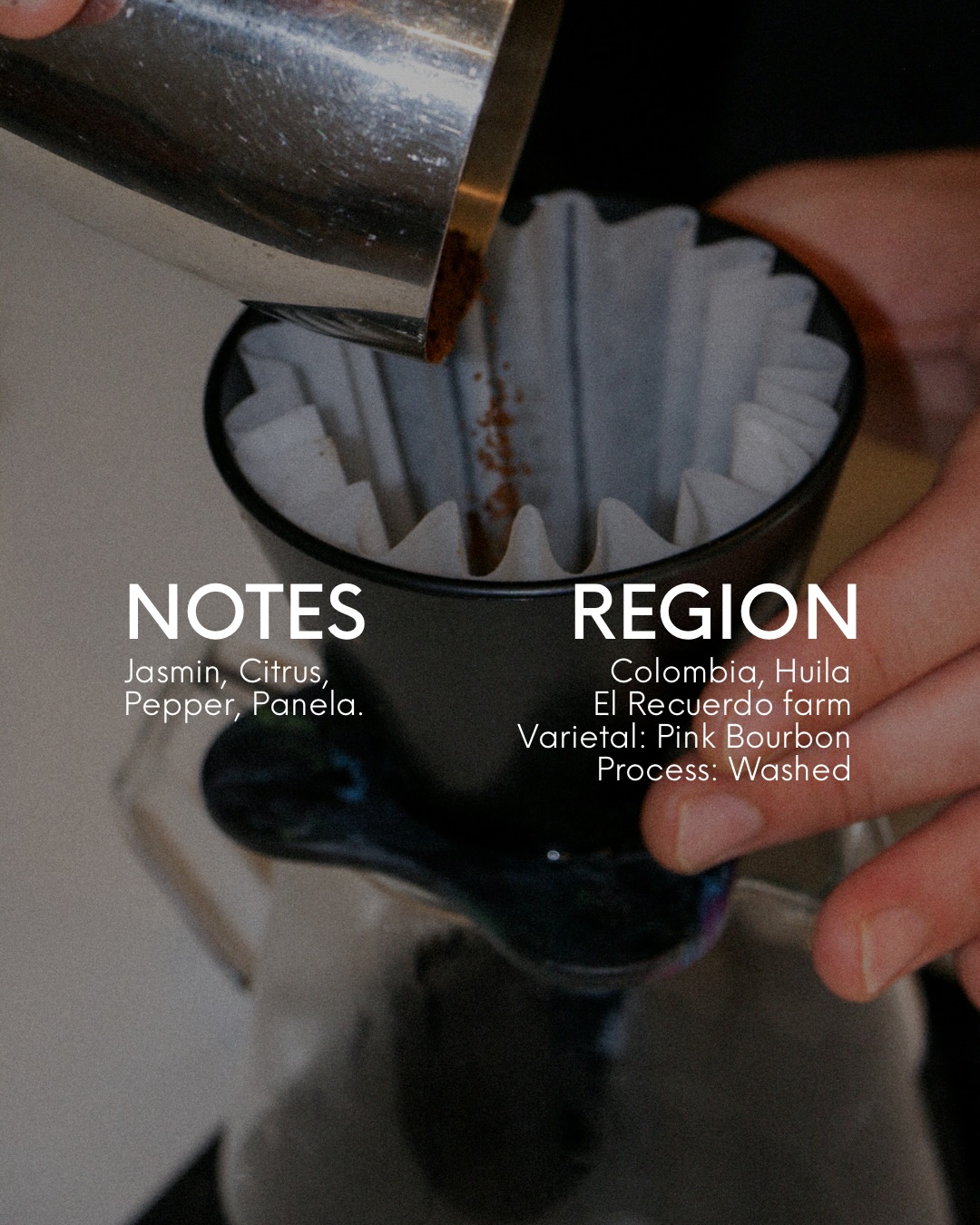 FILTER SELECTION ☕️

A look at what’s currently on filter at The Fix.

Different origins, processes and flavour profiles