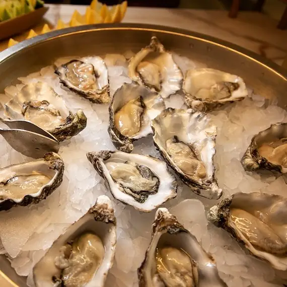 Fresh shucked oysters on the half shell arranged on crushed ice in a round metal tray