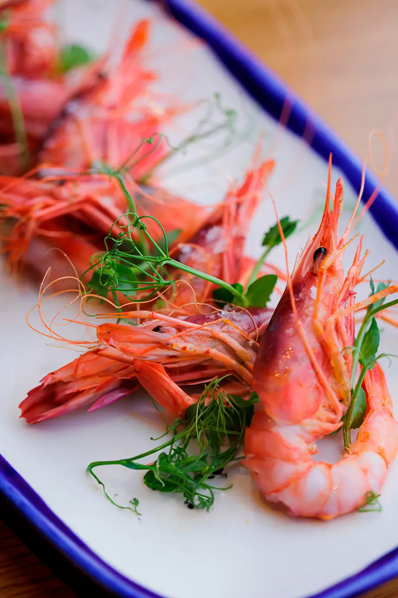 Whole grilled prawns garnished with fresh herbs on a blue-rimmed white plate, Tracatrá