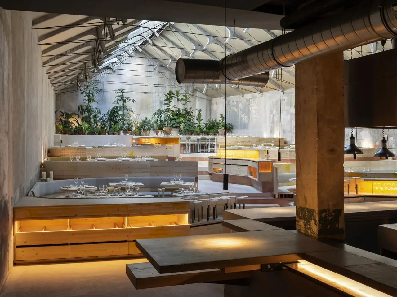A wooden counter lit from below under a glass roof with plants along the far wall