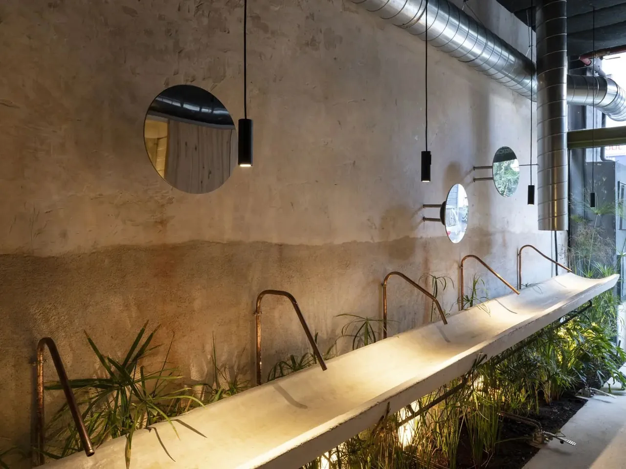 A long stone basin with plants along a concrete wall with round mirrors and hanging lamps