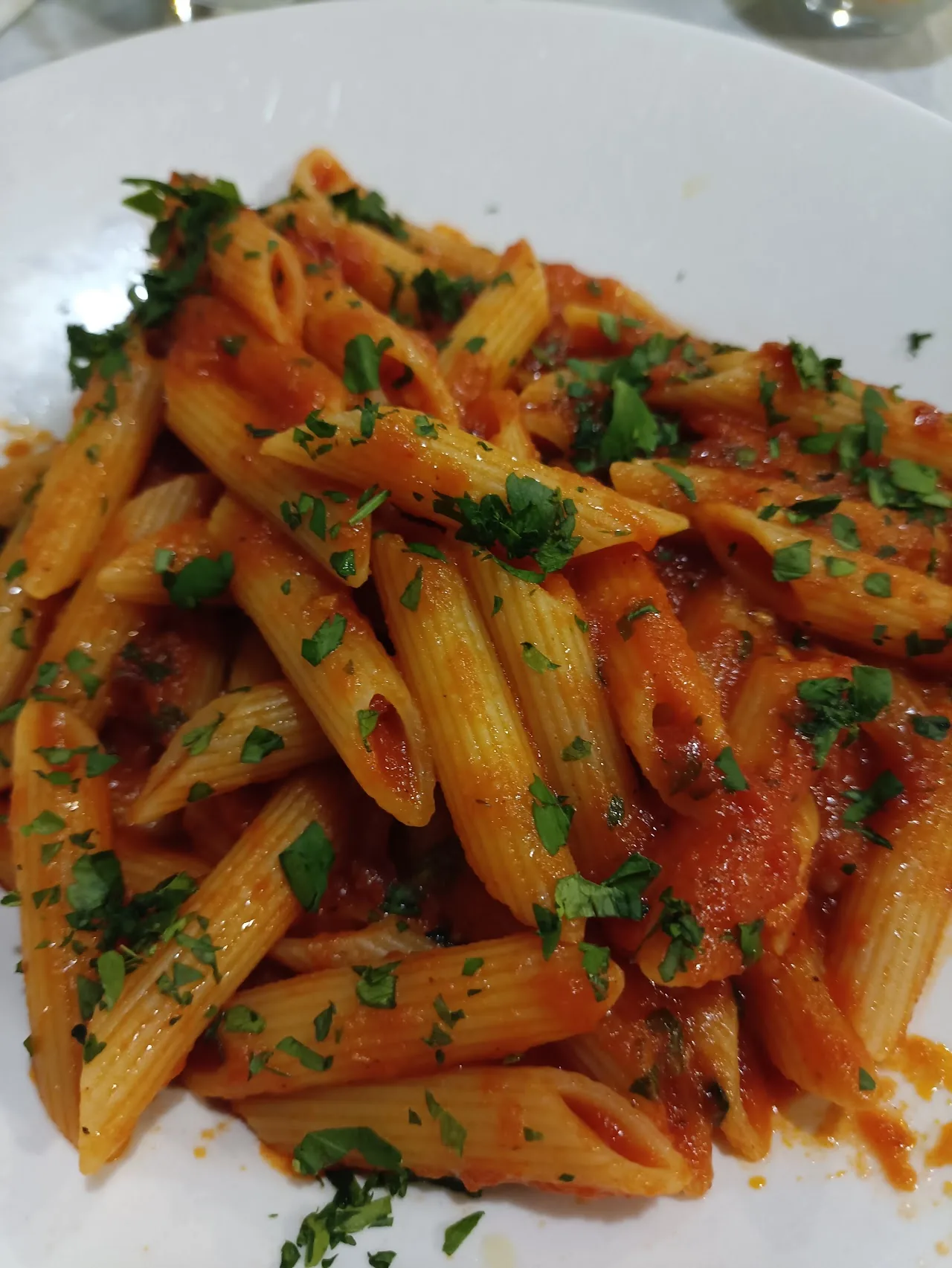 A plate of penne pasta in tomato sauce with herbs