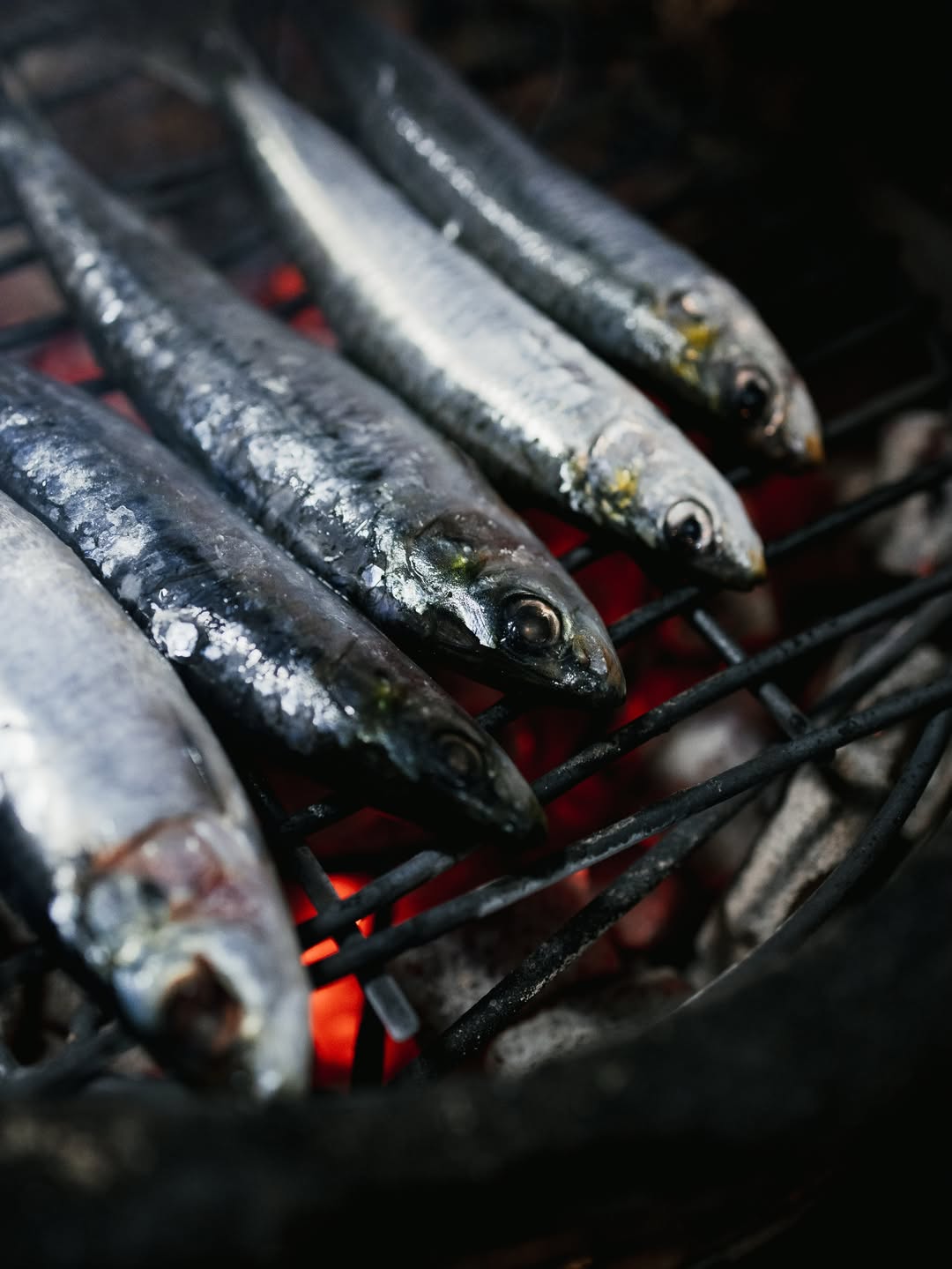 Parrochas. Xoubas. Sardinas.  El sabor del verano.

A la parrilla y en nigiri.

En un par de días te contamos cómo lo ha
