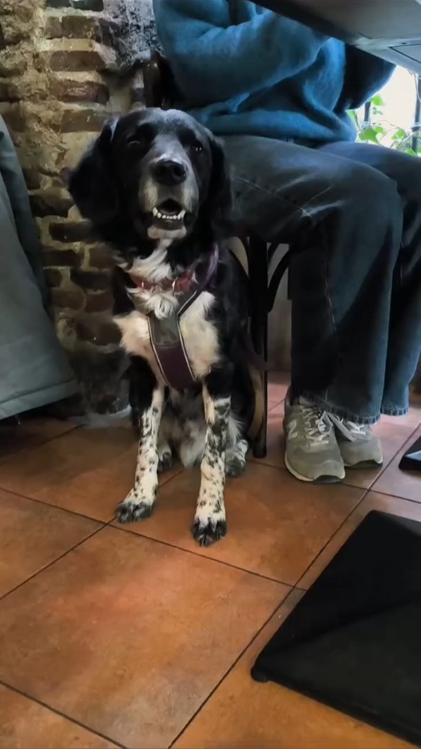 🌞 Hay quienes tienen penita porque las vacaciones se van terminando

😌 Y quienes están felices de volver a la rutina, a 