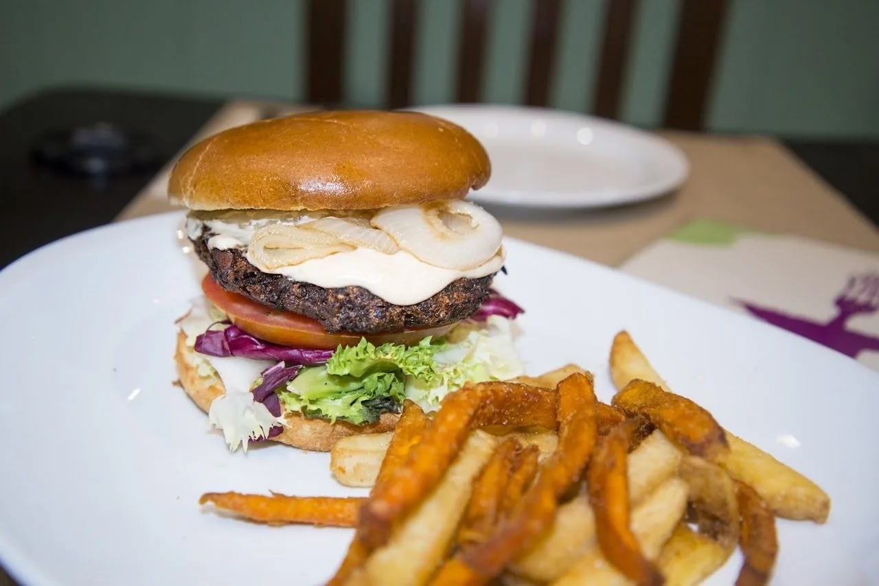 A burger with a patty and fresh vegetables served with fries on a white plate