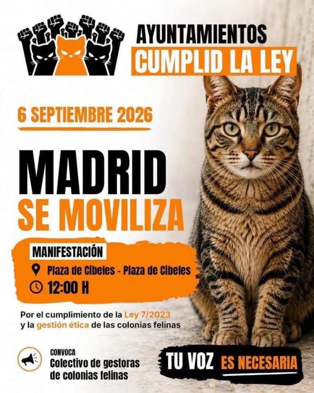 🐈🧡 6 DE SEPTIEMBRE | MADRID SE MOVILIZA POR LAS COLONIAS FELINAS 🧡🐈‍⬛

📢 AYUNTAMIENTOS: CUMPLID LA LEY.

El próximo 6 de