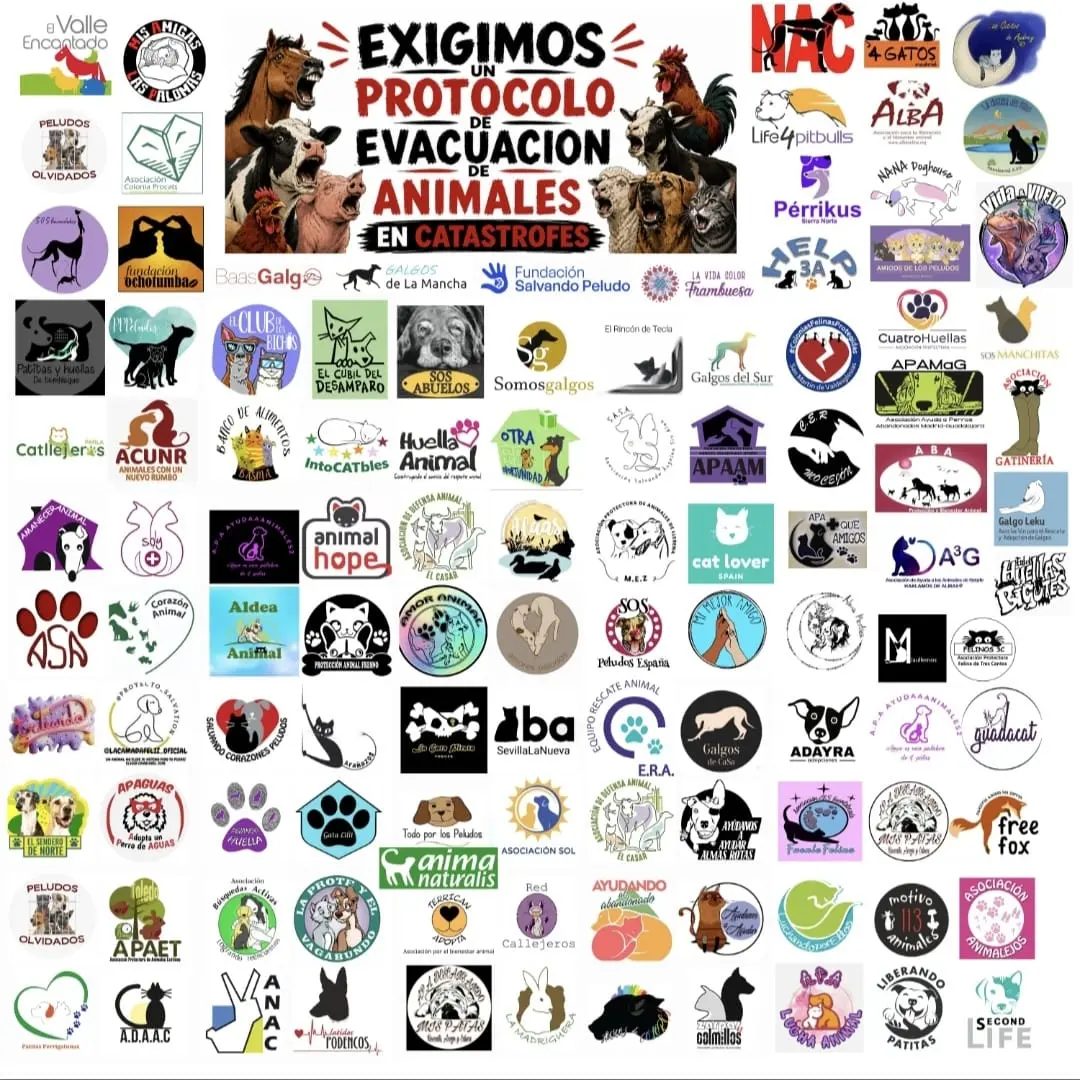 Los incendios no solo arrasan bosques y hogares; también dejan tras de sí cientos de animales atrapados, heridos y sin p