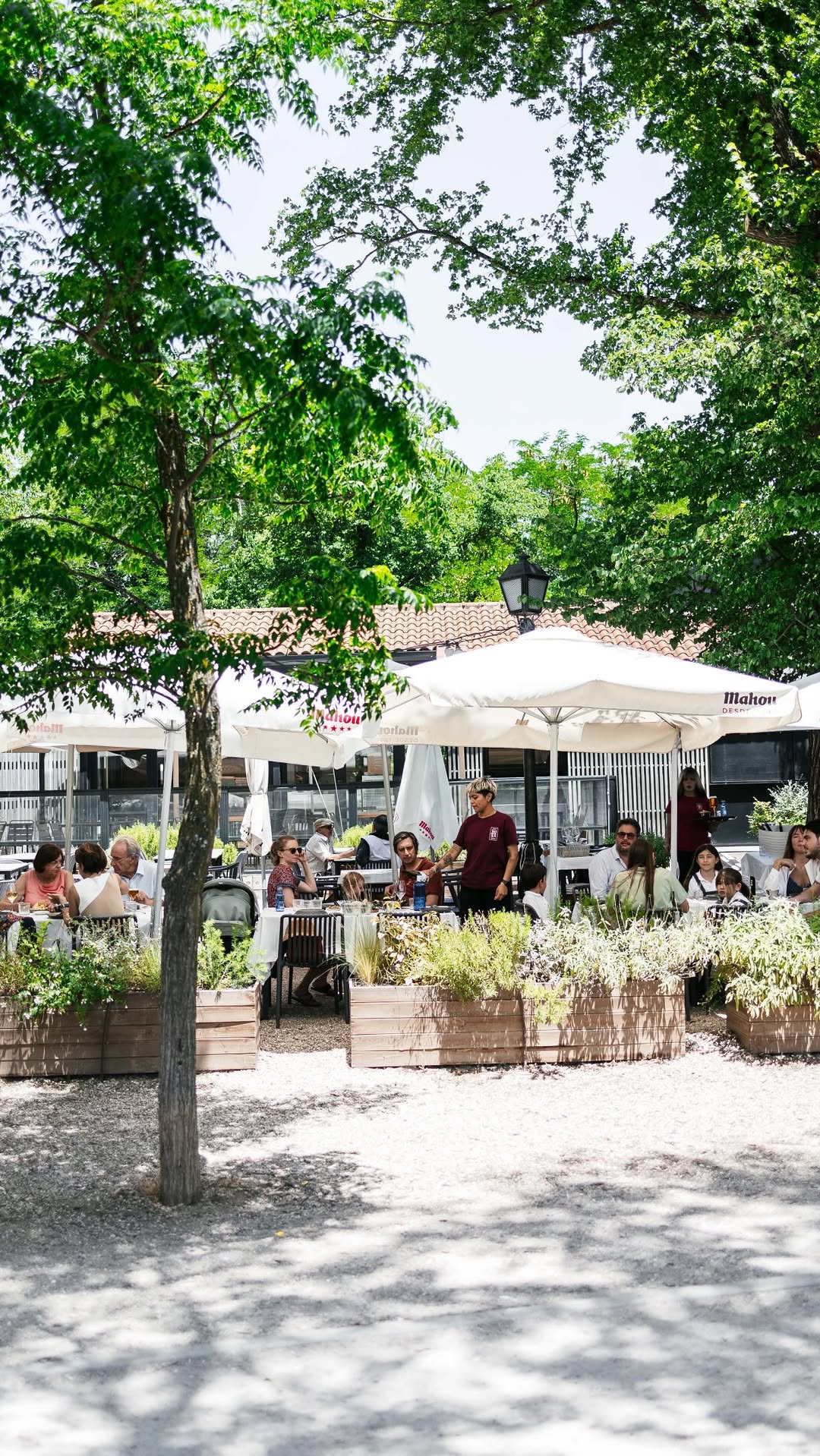 El verano le luce a nuestra Villa ♥️

El lugar perfecto para tu evento o celebración. 

📍Lago de la Casa de Campo, Paseo