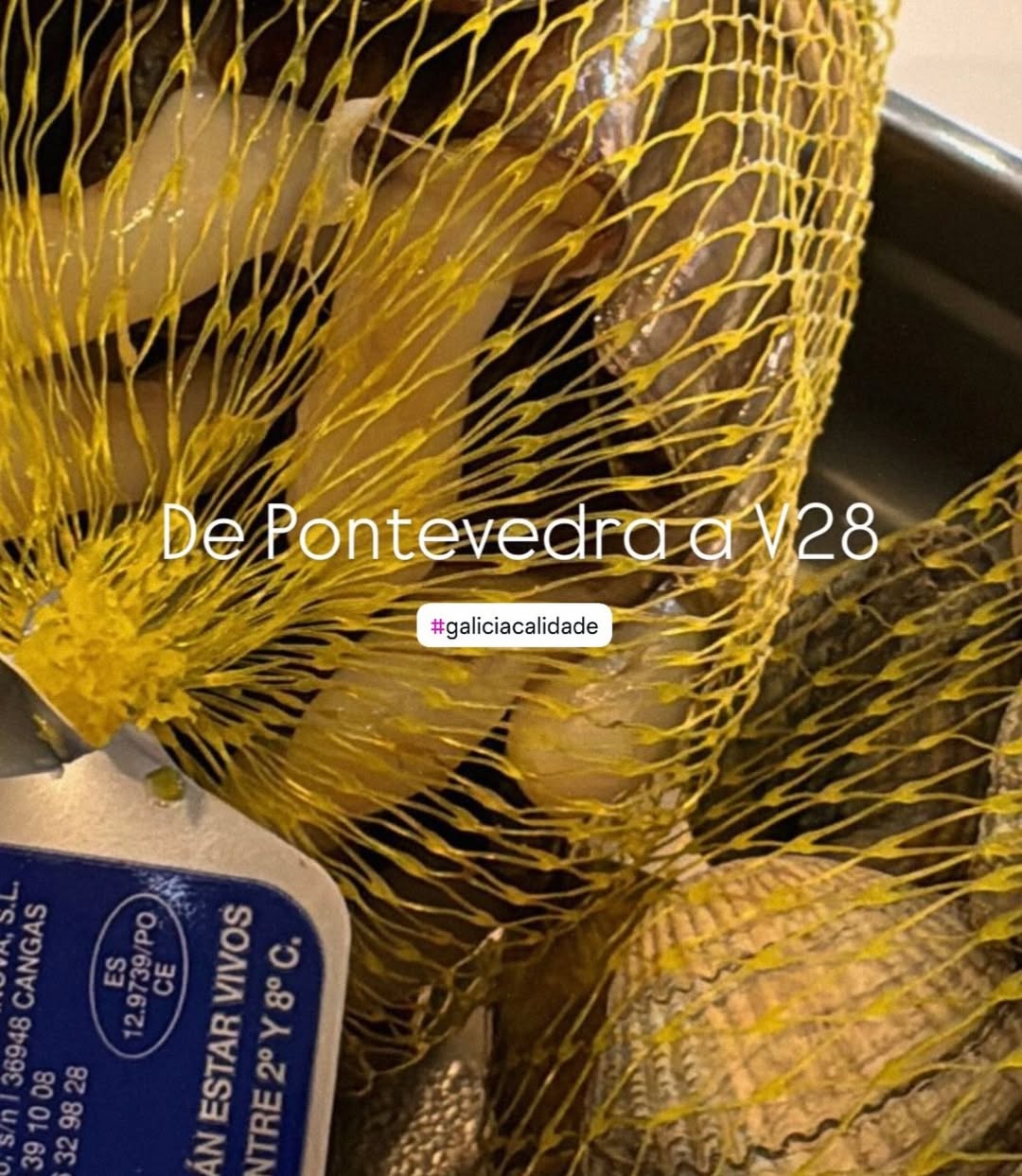 Volver de las vacaciones siempre es duro. Pero darse pequeños placeres como unas navajas que llegan desde Pontevedra es 