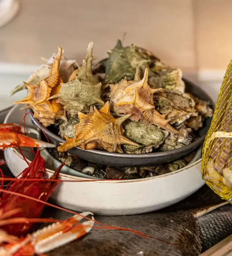Bowl of fresh spiny sea snails and oysters set in an enamel tray with red langoustines alongside a fresh fish