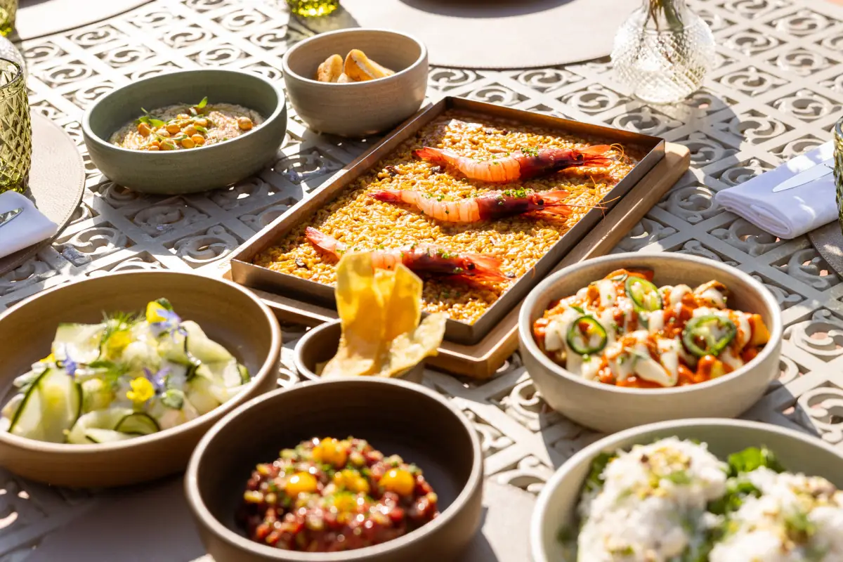 Shared tapas spread on an outdoor rooftop table, including grilled prawns over rice, a tuna tartare bowl, patatas bravas, cucumber salad, and hummus, at Winter Garden