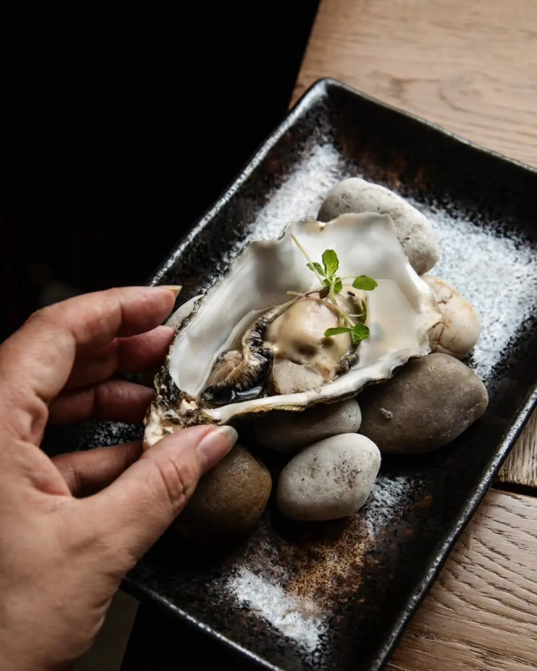 Hand presenting a fresh oyster on its shell garnished with a sprig of herb, plated on smooth stones